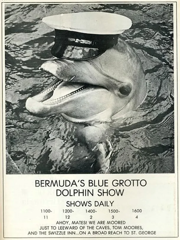 Advertisement for Bermuda's Blue Grotto Dolphin Show