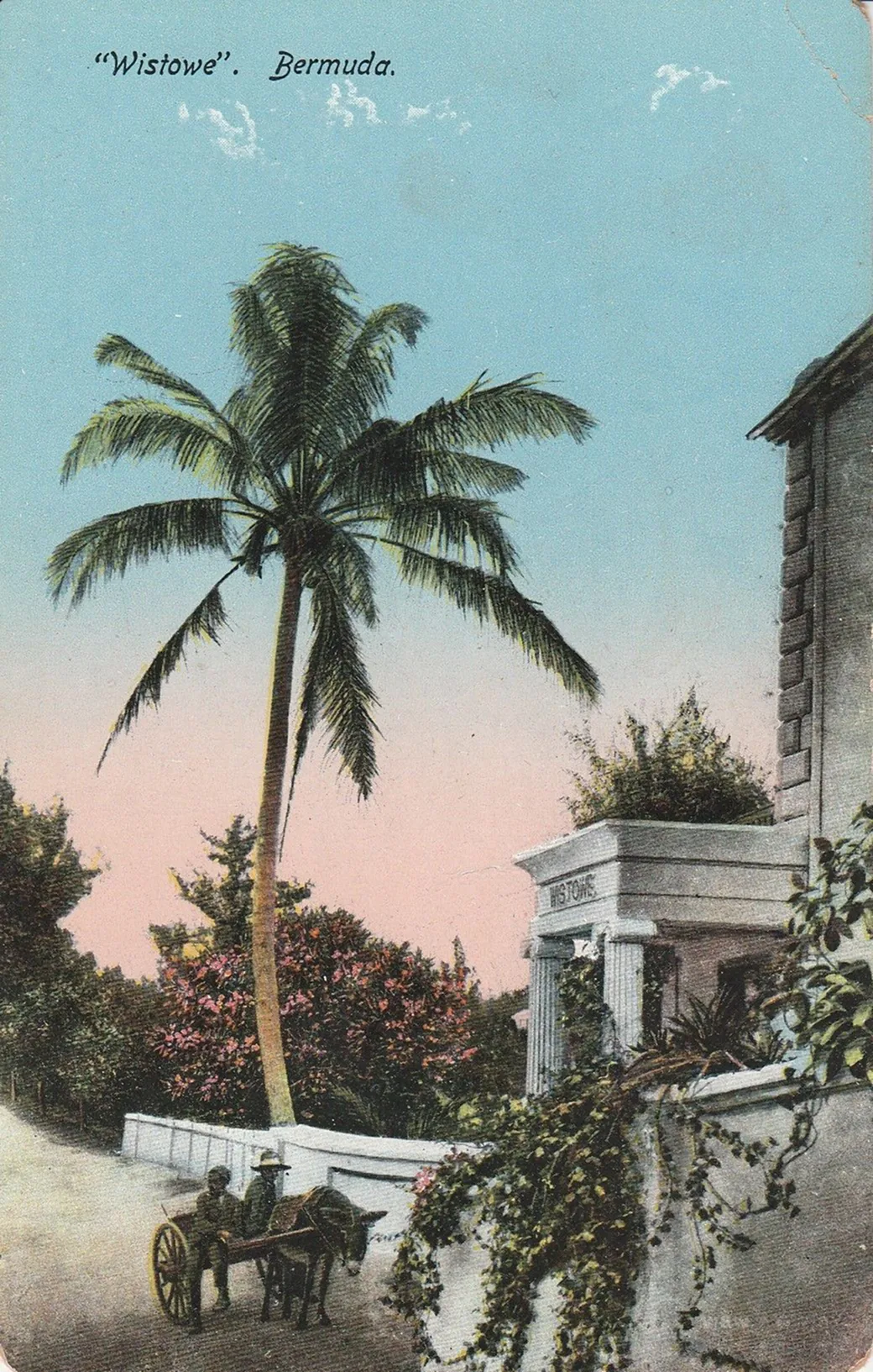 Hand-tinted postcard of “Wistowe”, Bermuda, a palm over a garden wall