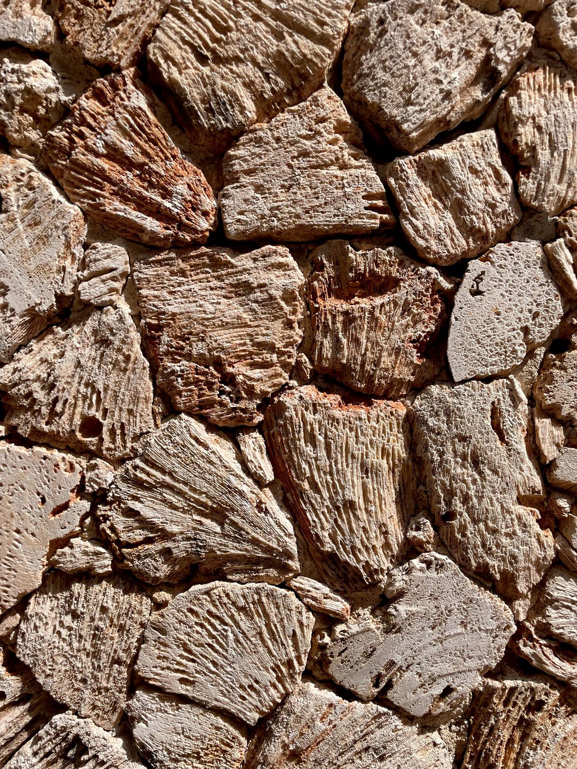 Coral Stone close up