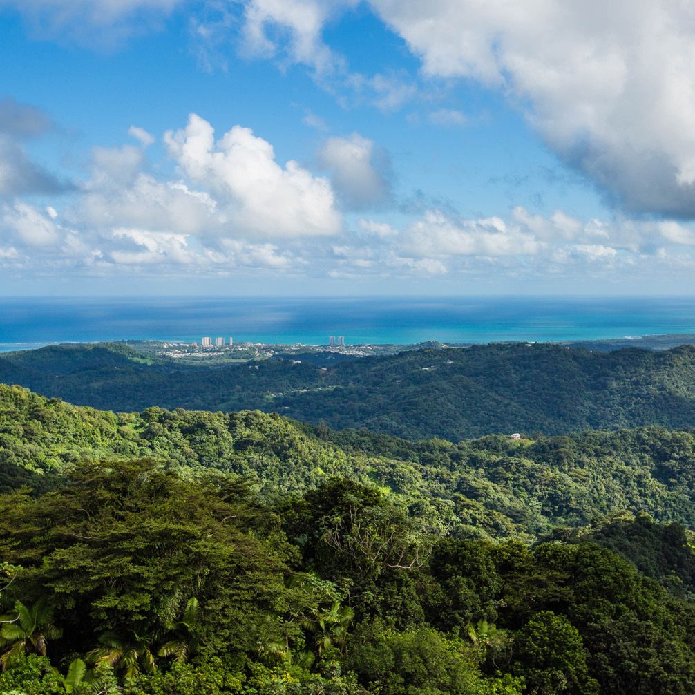 Beautiful landscape