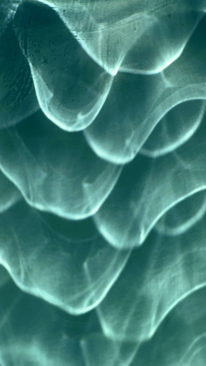 Water ripples