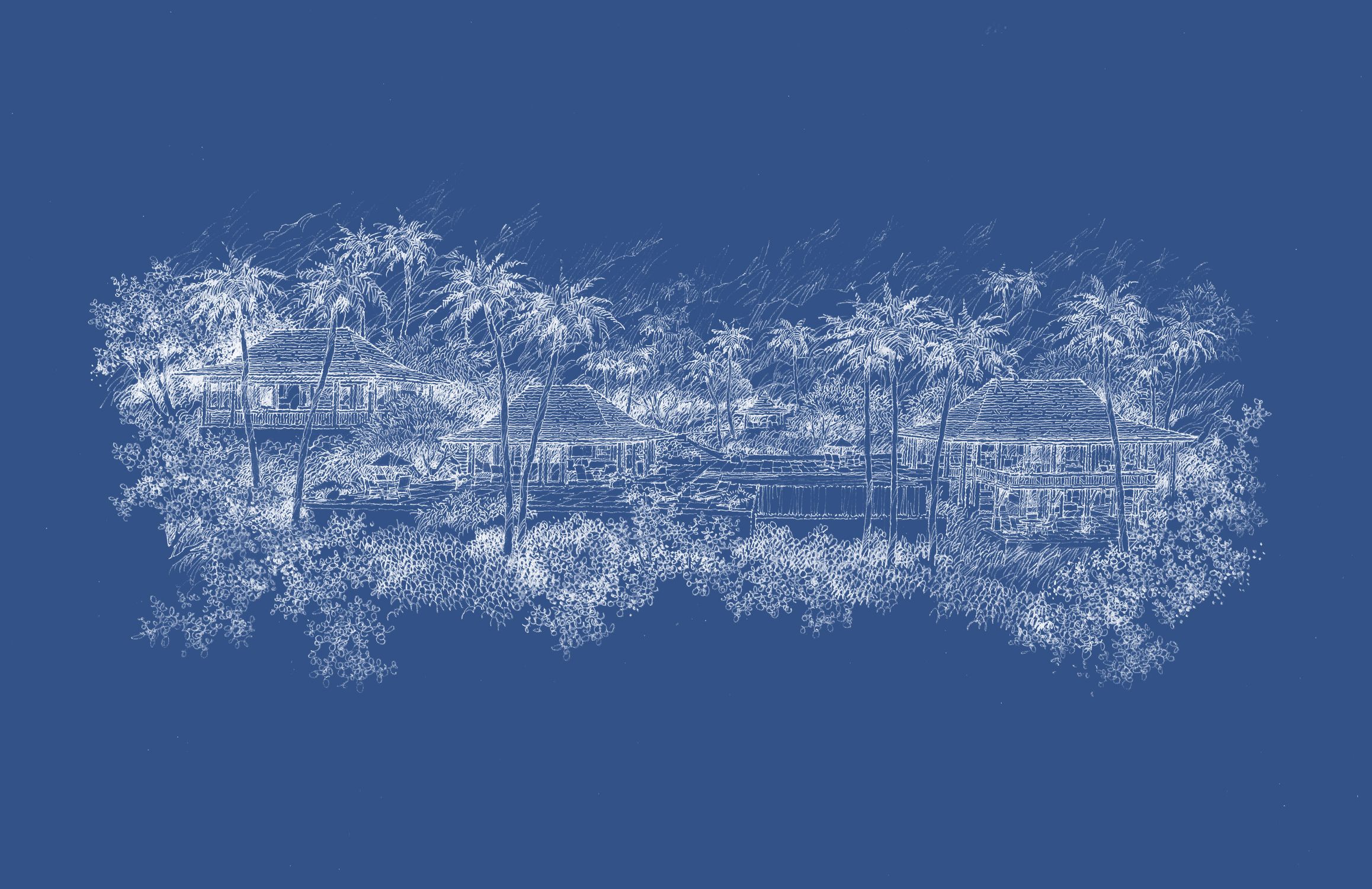 Practice_Collage_Sketch