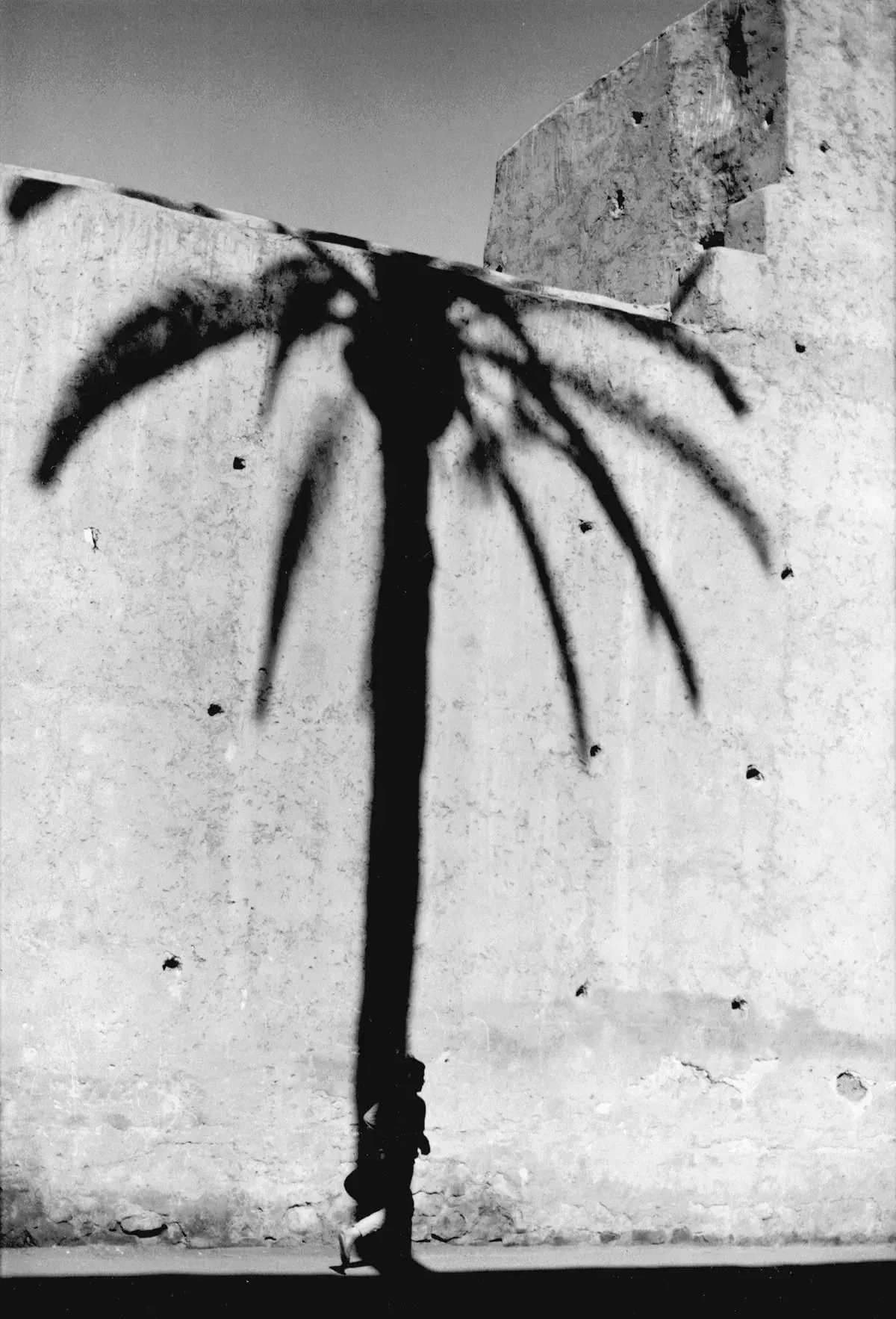 Black and white photograph: the shadow of a palm across a wall, a figure walking beneath