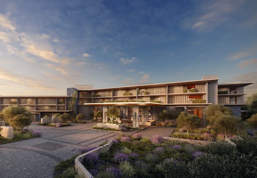 The arrival court at dusk: a low canopy, lavender beds and olive trees before the hotel