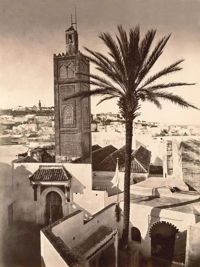 Sepia photograph of Tangier: a minaret and a palm over white rooftops, the sea beyond