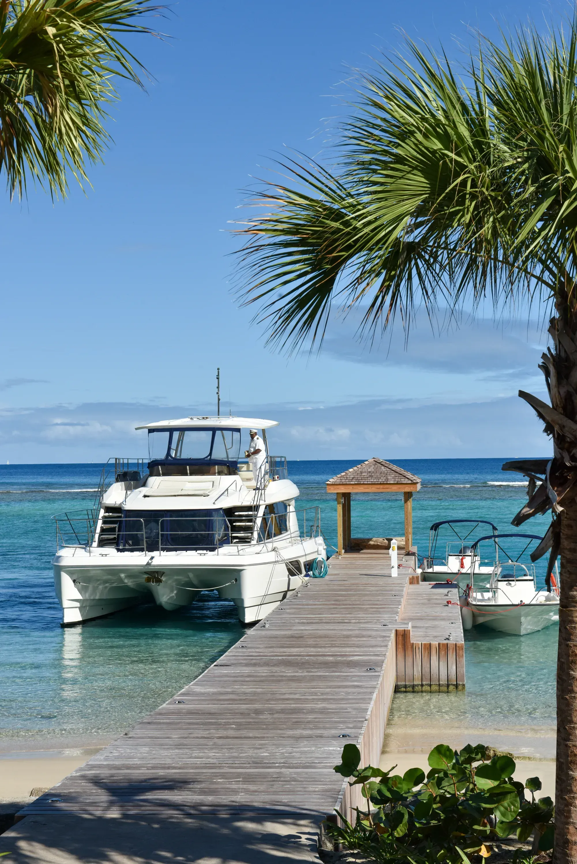 A boat at the wooden pier under a palm, a small pavilion at its end