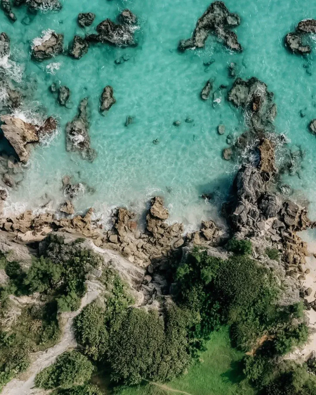 Rocks and turquoise water from directly above, a strip of pink sand between them