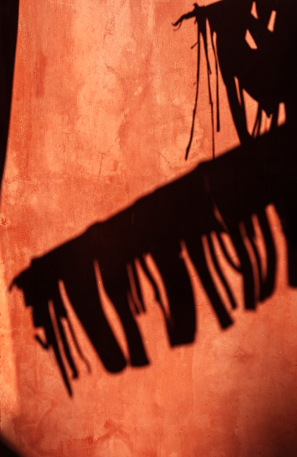Tadelakt wall in the medina, the shadow of a palm across it