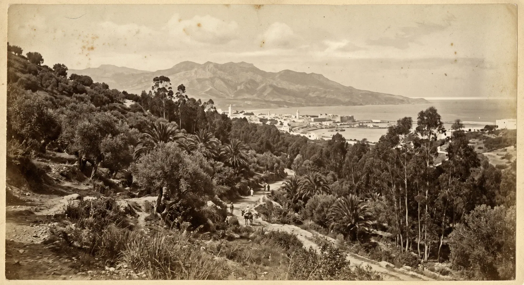 Sepia view over Tangier from the hills: eucalyptus and palms, the town and the bay below
