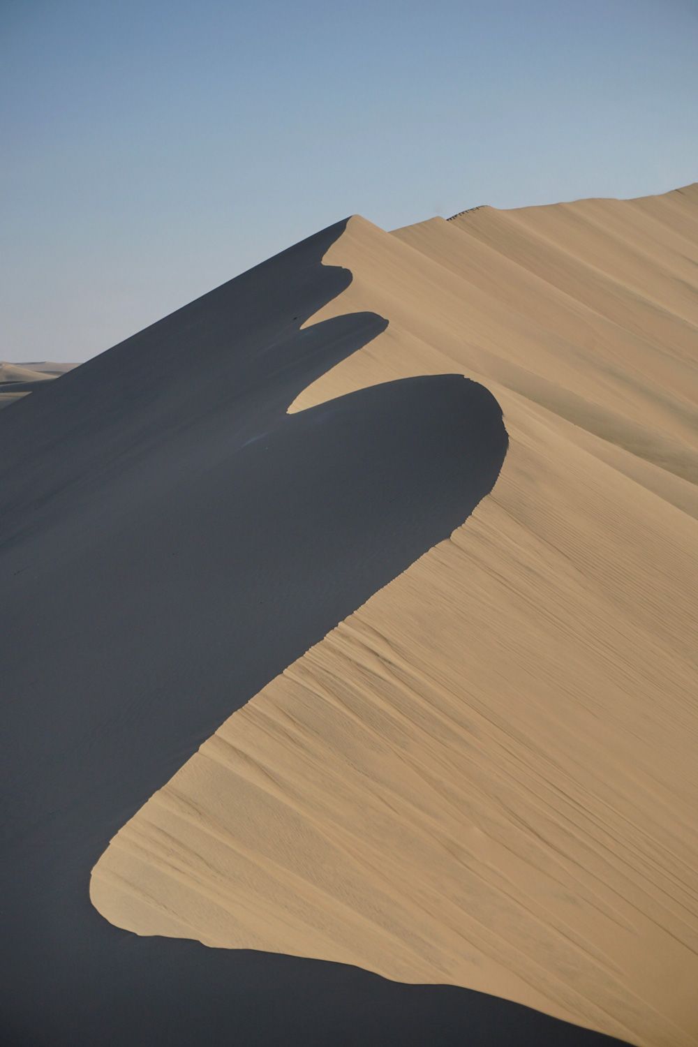 Dune