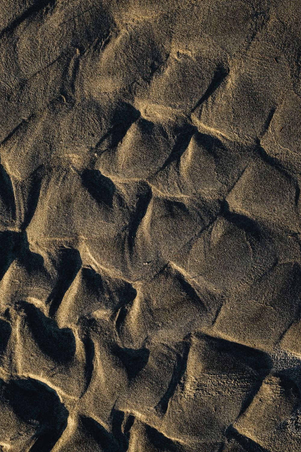 Dune