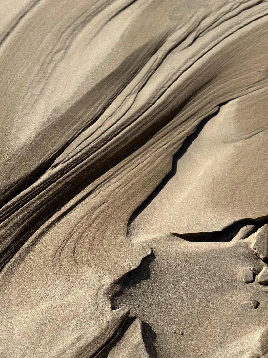 Dune