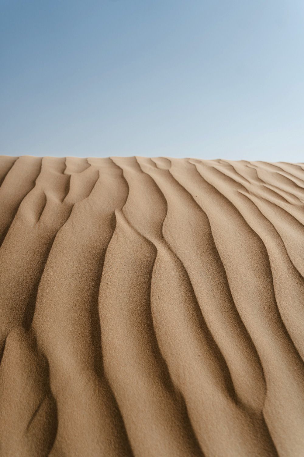 dune