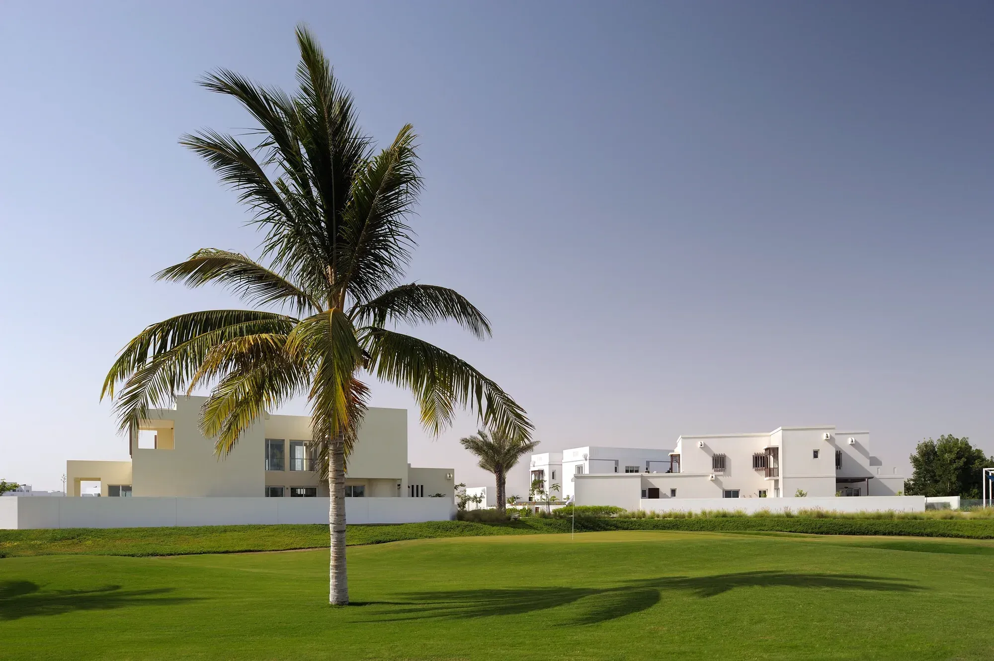 A white villa behind a garden wall, a palm on the lawn before it